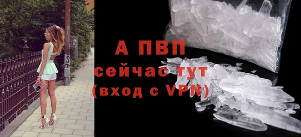 ПСИЛОЦИБИНОВЫЕ ГРИБЫ Володарск