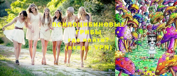 ПСИЛОЦИБИНОВЫЕ ГРИБЫ Володарск