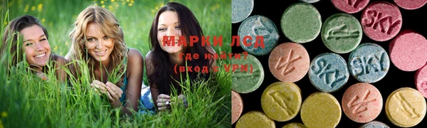 ПСИЛОЦИБИНОВЫЕ ГРИБЫ Володарск